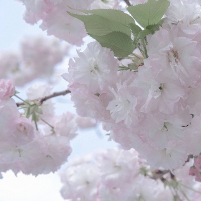 兽设家庭场景设计福瑞群